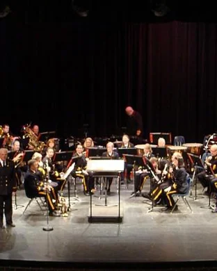 The Concert: A Tribute to ABBA Vienna