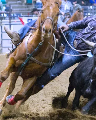 Bill Pickett Rodeo