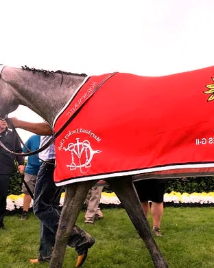 Black Eyed Susan Stakes Laurel