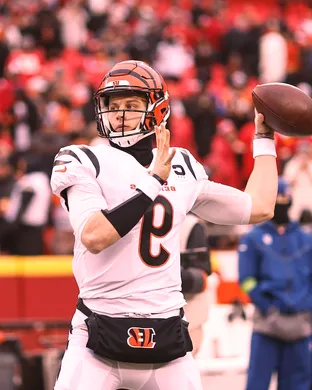 Cincinnati Bengals Baltimore