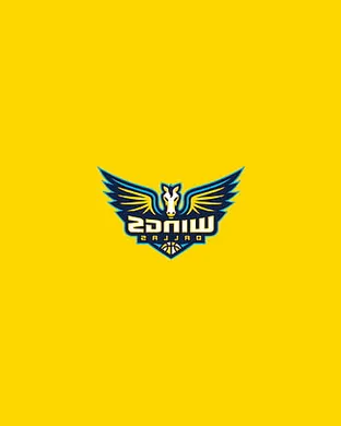 Dallas Wings Washington