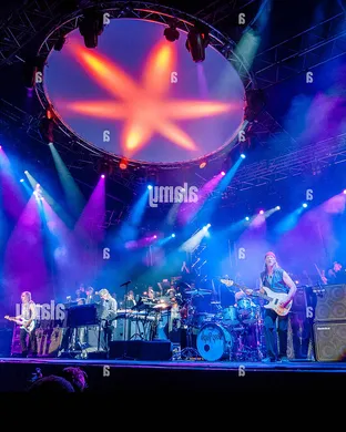 Deep Purple Assago