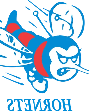 Delaware State Hornets Washington
