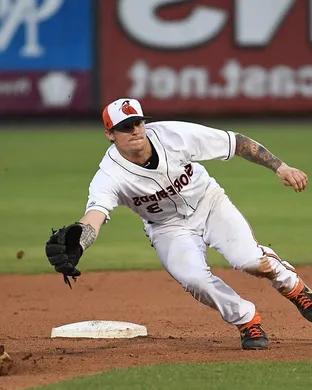 Delmarva Shorebirds Fredericksburg