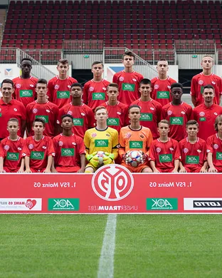 Fsv Mainz 05 Fairfax
