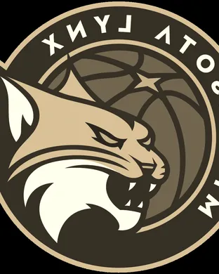Minnesota Lynx Washington