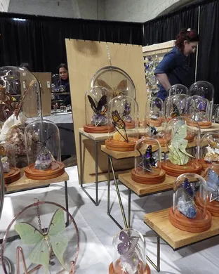 Oddities and Curiosities Expo Baltimore