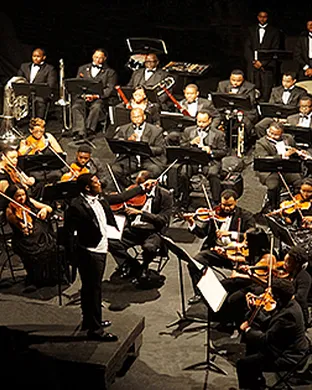 Orchestra Noir Washington