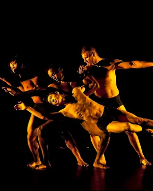 Pilobolus Silver Spring