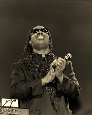 Stevie Wonder