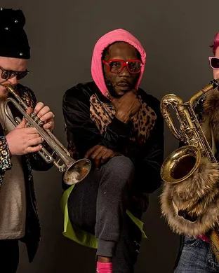 Too Many Zooz Towson