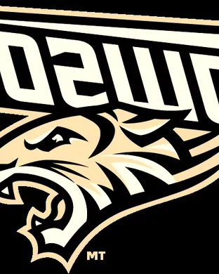 Towson Tigers Football Towson
