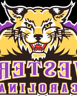Western Carolina Catamounts Football Cincinnati